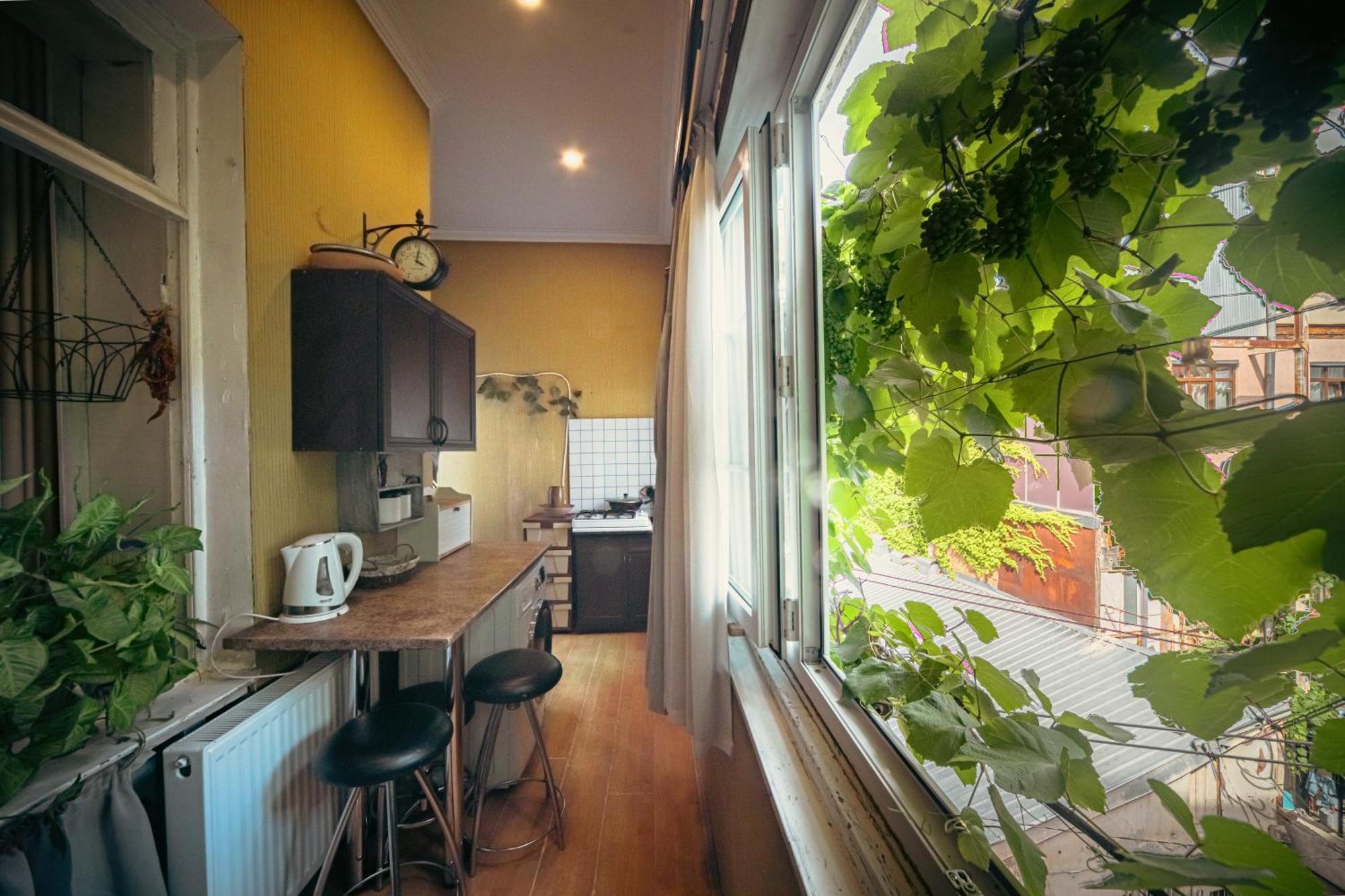 Guest House Tabukashvili 31 Τυφλίδα Εξωτερικό φωτογραφία