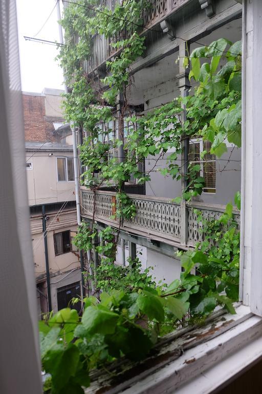 Guest House Tabukashvili 31 Τυφλίδα Εξωτερικό φωτογραφία